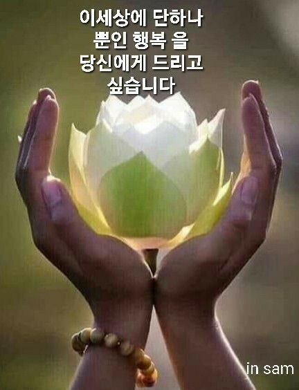 소중한 당신에게 이미지