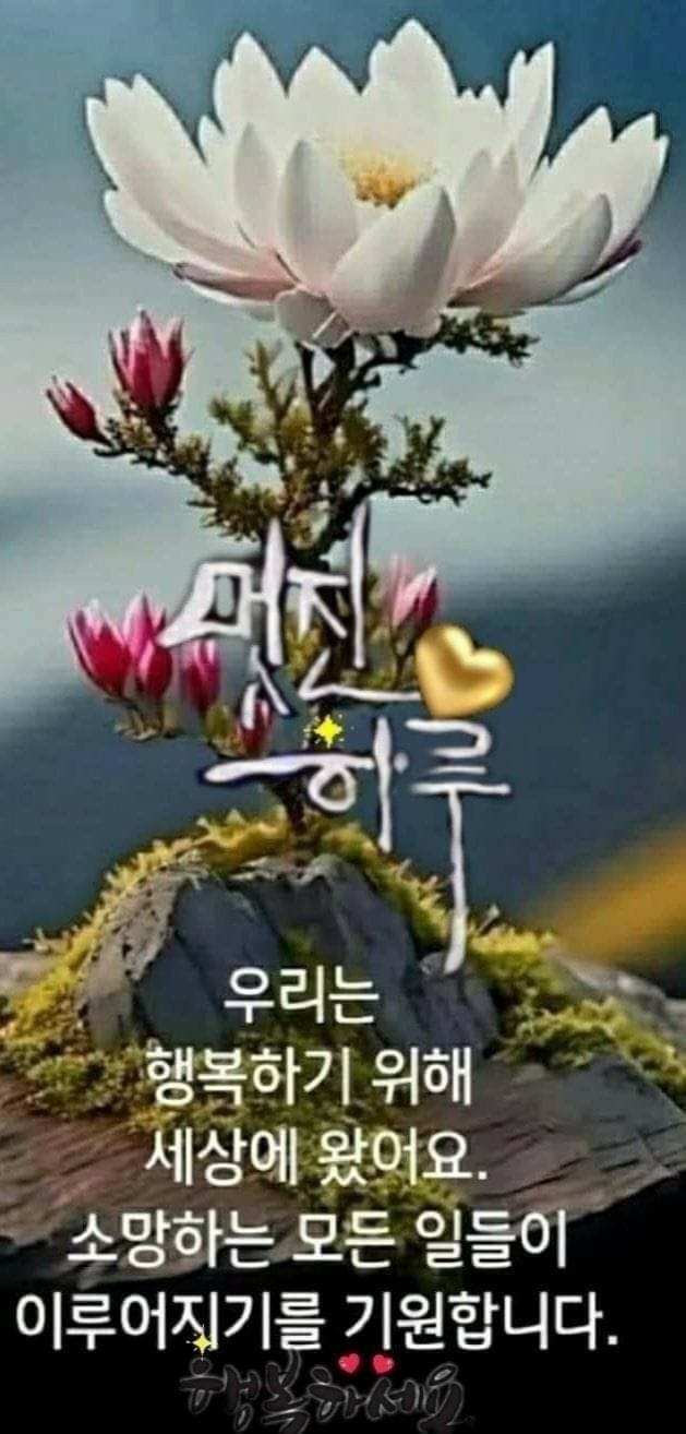 멋진하루 이미지