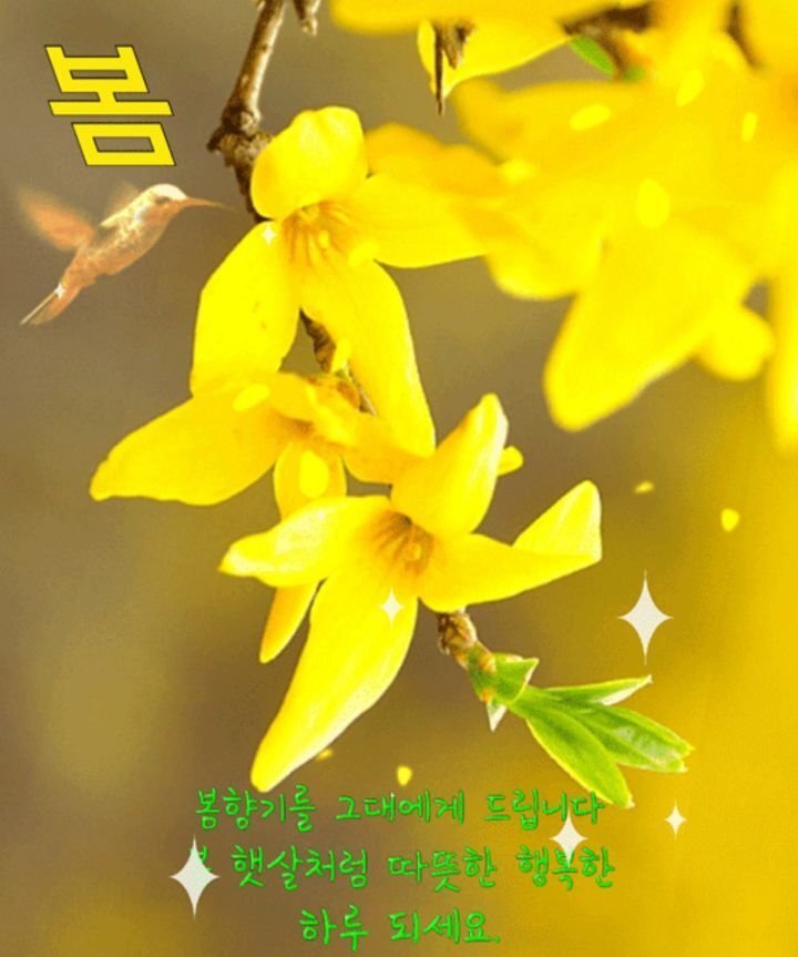 고향의봄 이미지