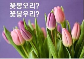 봉오리 이미지