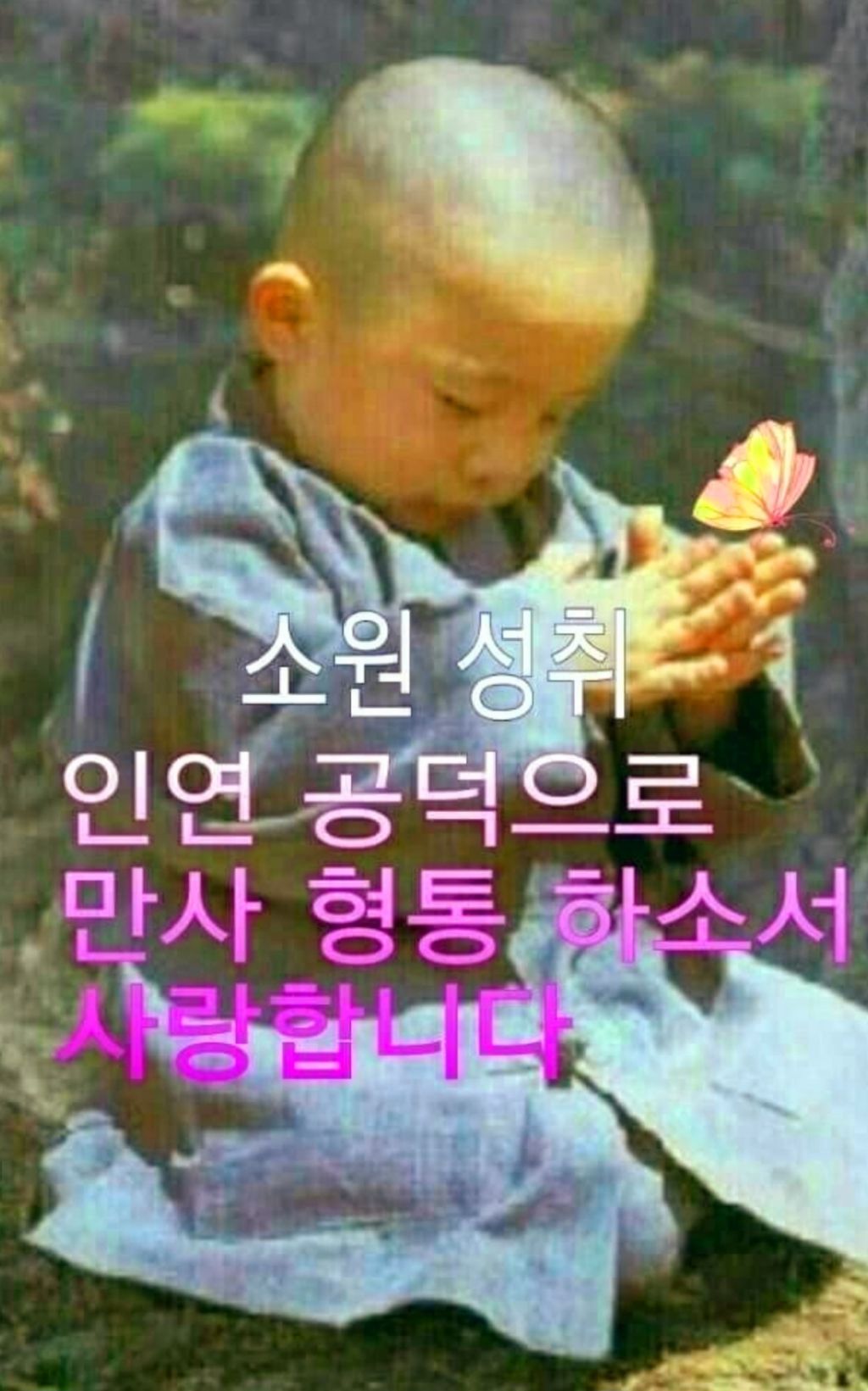 연화미소 이미지