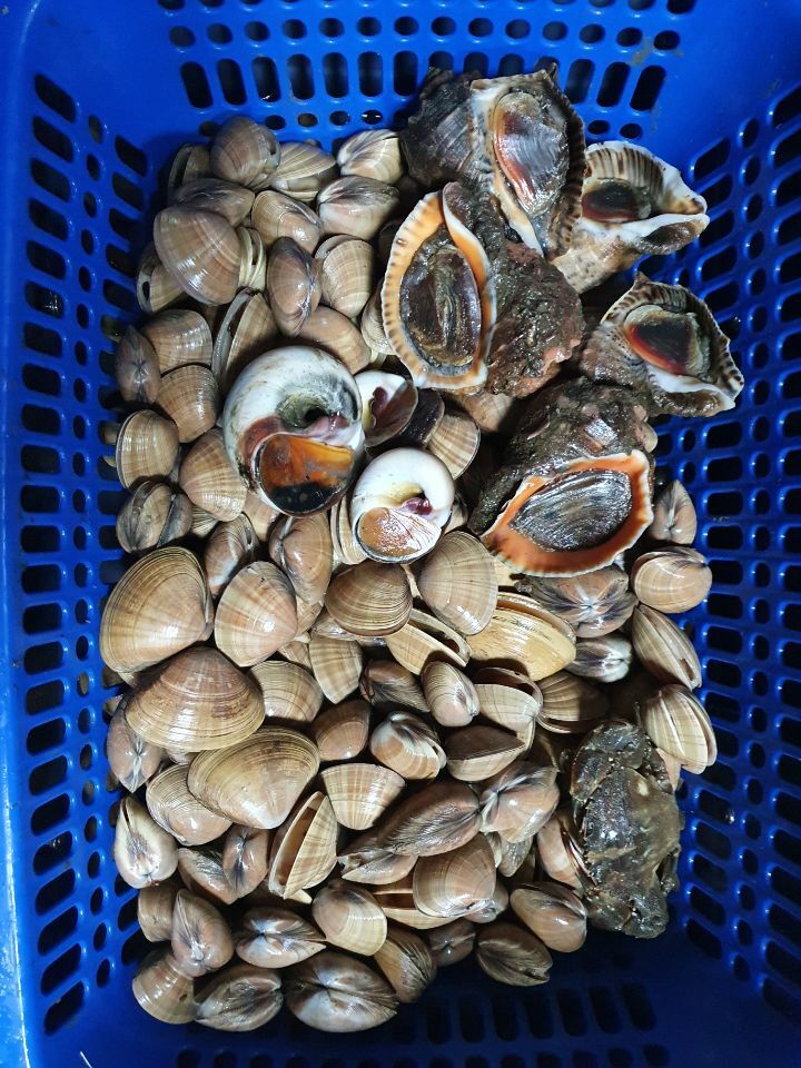 마카다 이미지