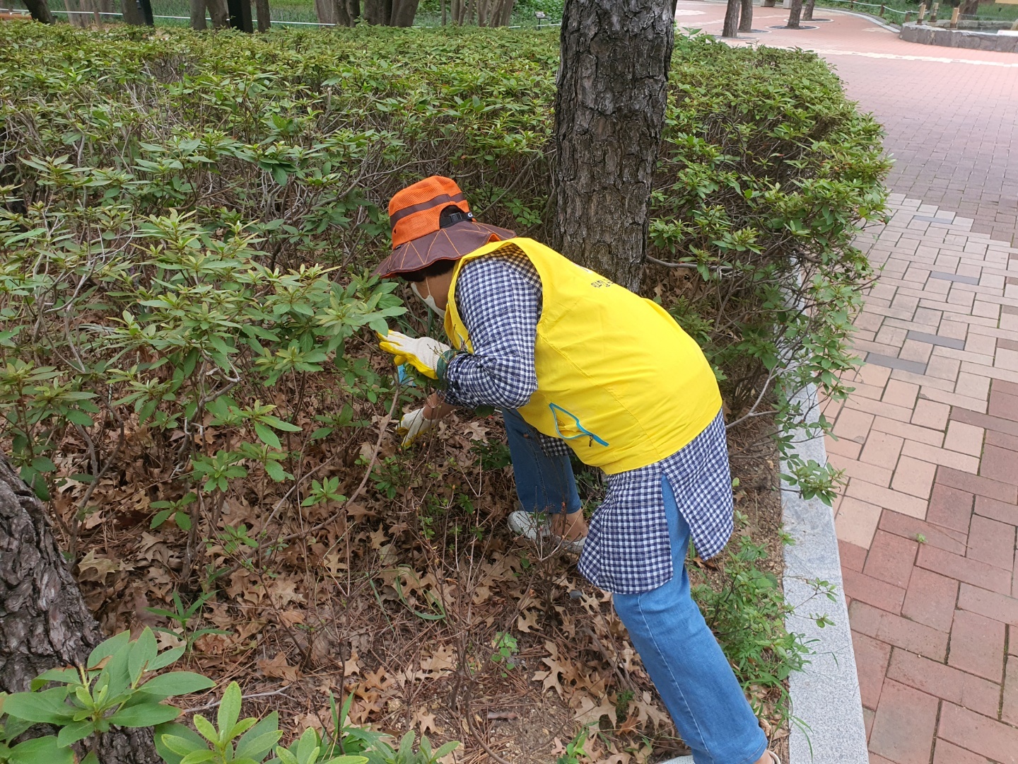 미소환경 이미지