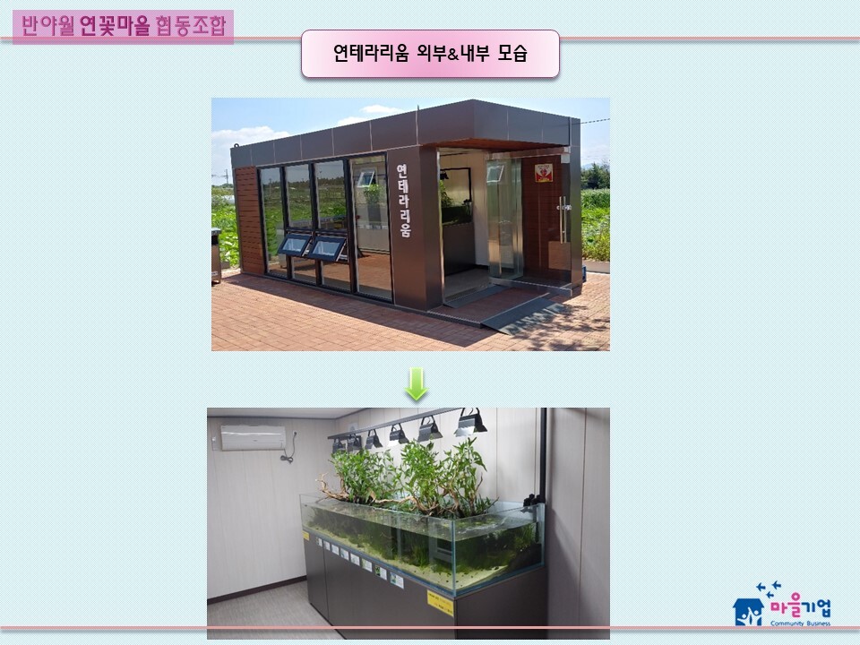 반야월 연꽃마을 협동조합 이미지
