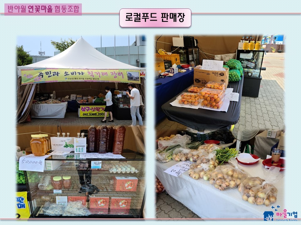 반야월 연꽃마을 협동조합 이미지