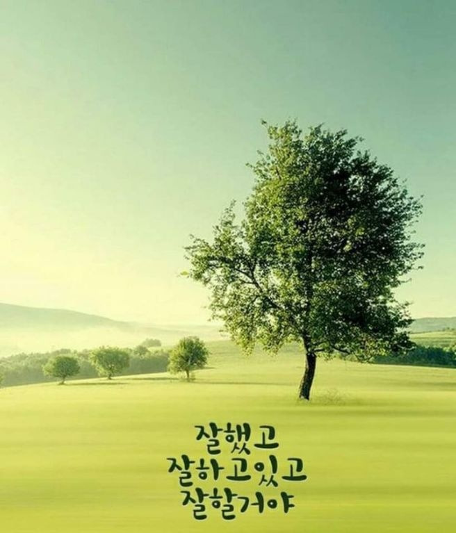 임마누엘 이미지
