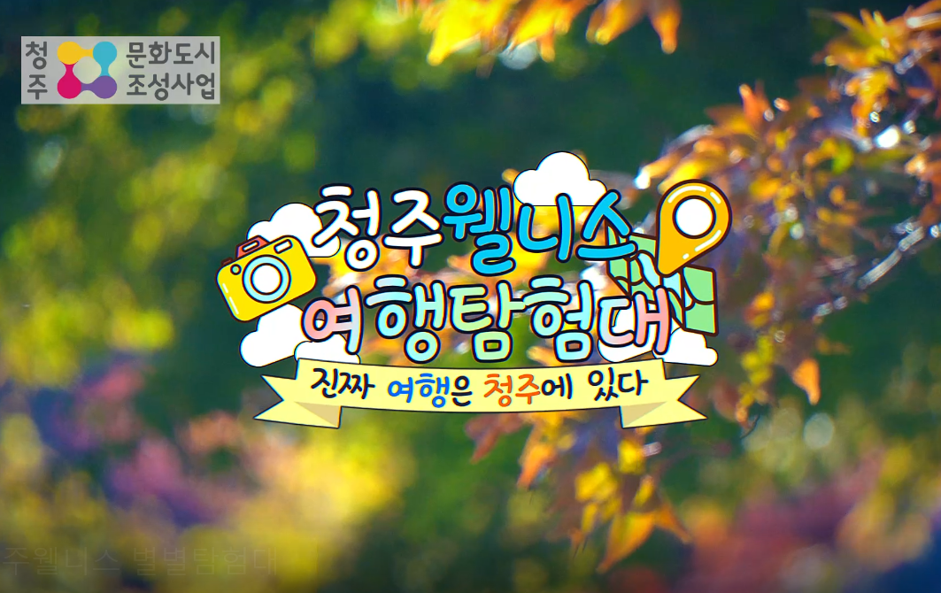 웰리스 이미지