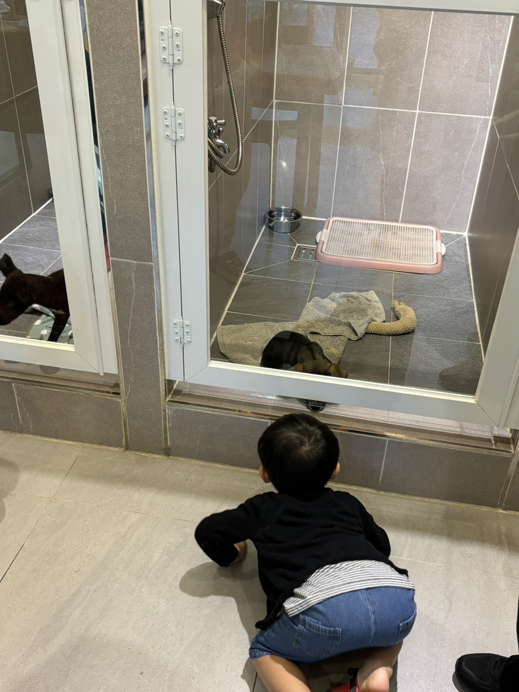 호연다육 이미지