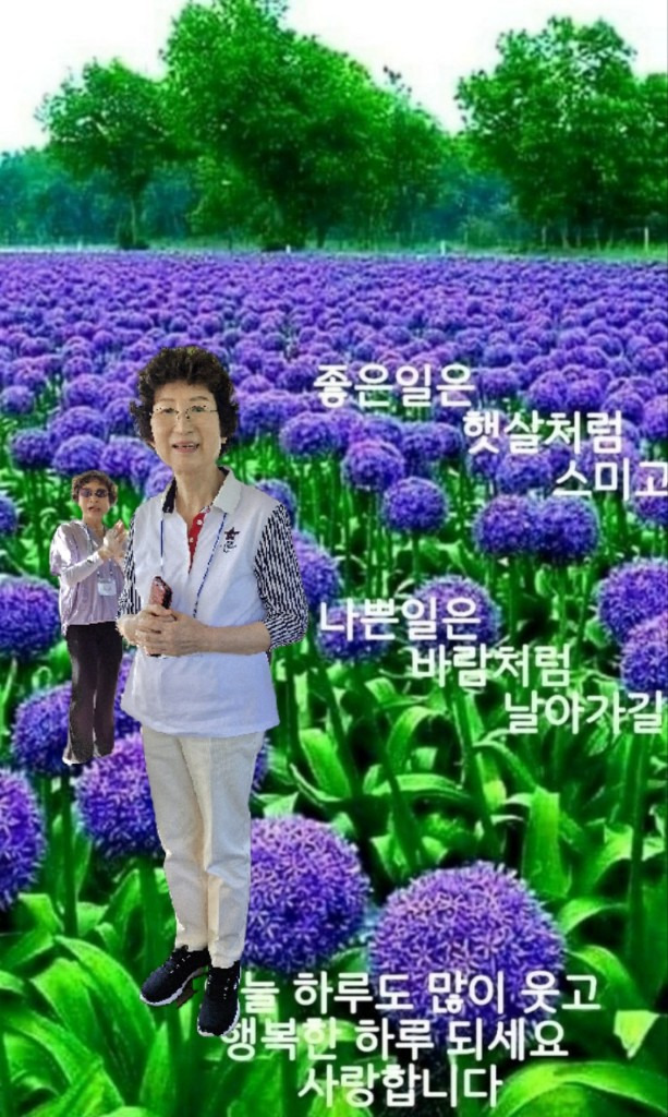 시장 밥상 이미지