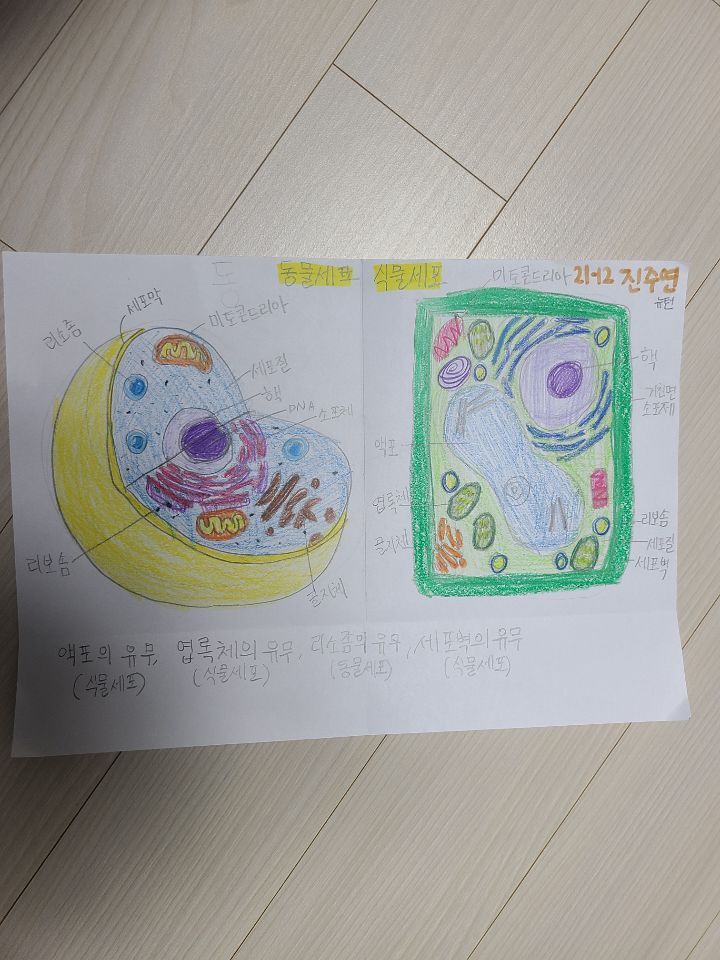 진주연 이미지