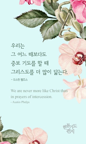 한몸 이미지