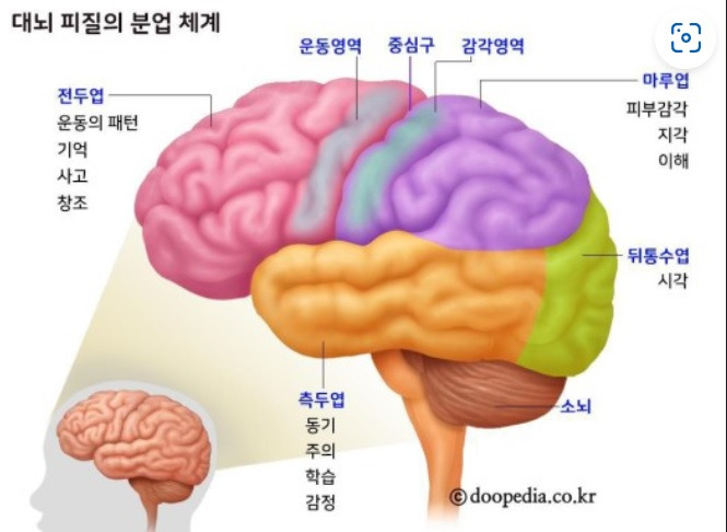 대광발명과학고등학교 이미지