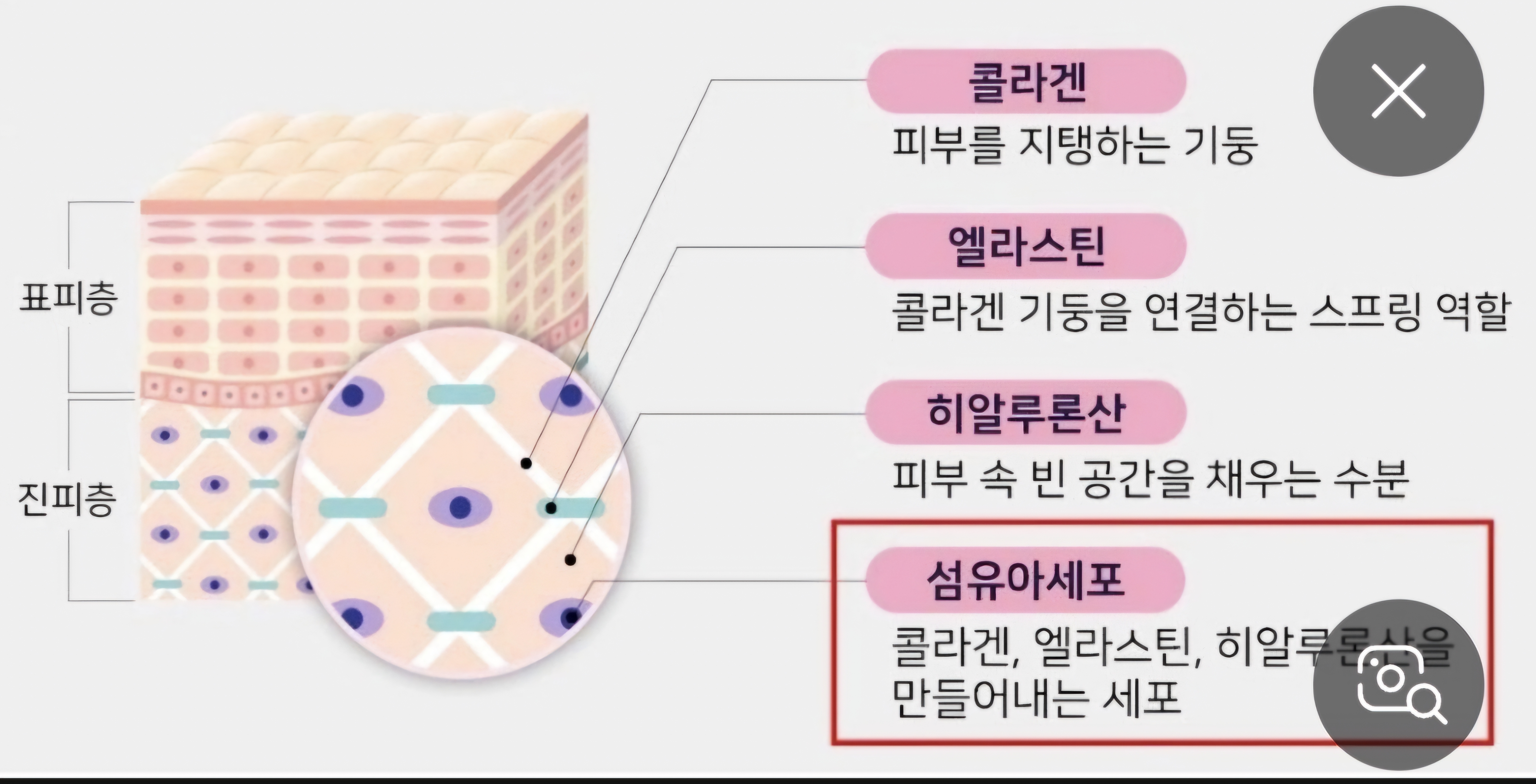 공상놀이 듣는거 지겹ㅋ 전기차1위도 짱개들이 엔비디아 주가 폭락시킨거보면 ㅋ - 자유 게시판 - mind control TI