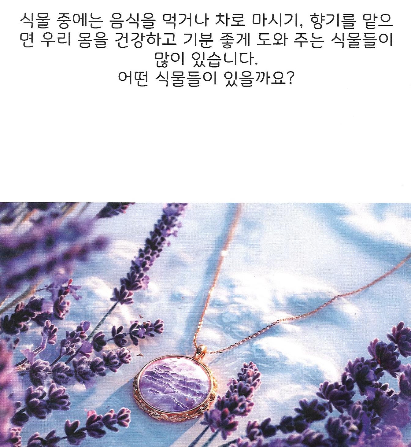 그림책향기 이미지