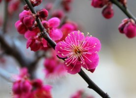 라도다방 이미지