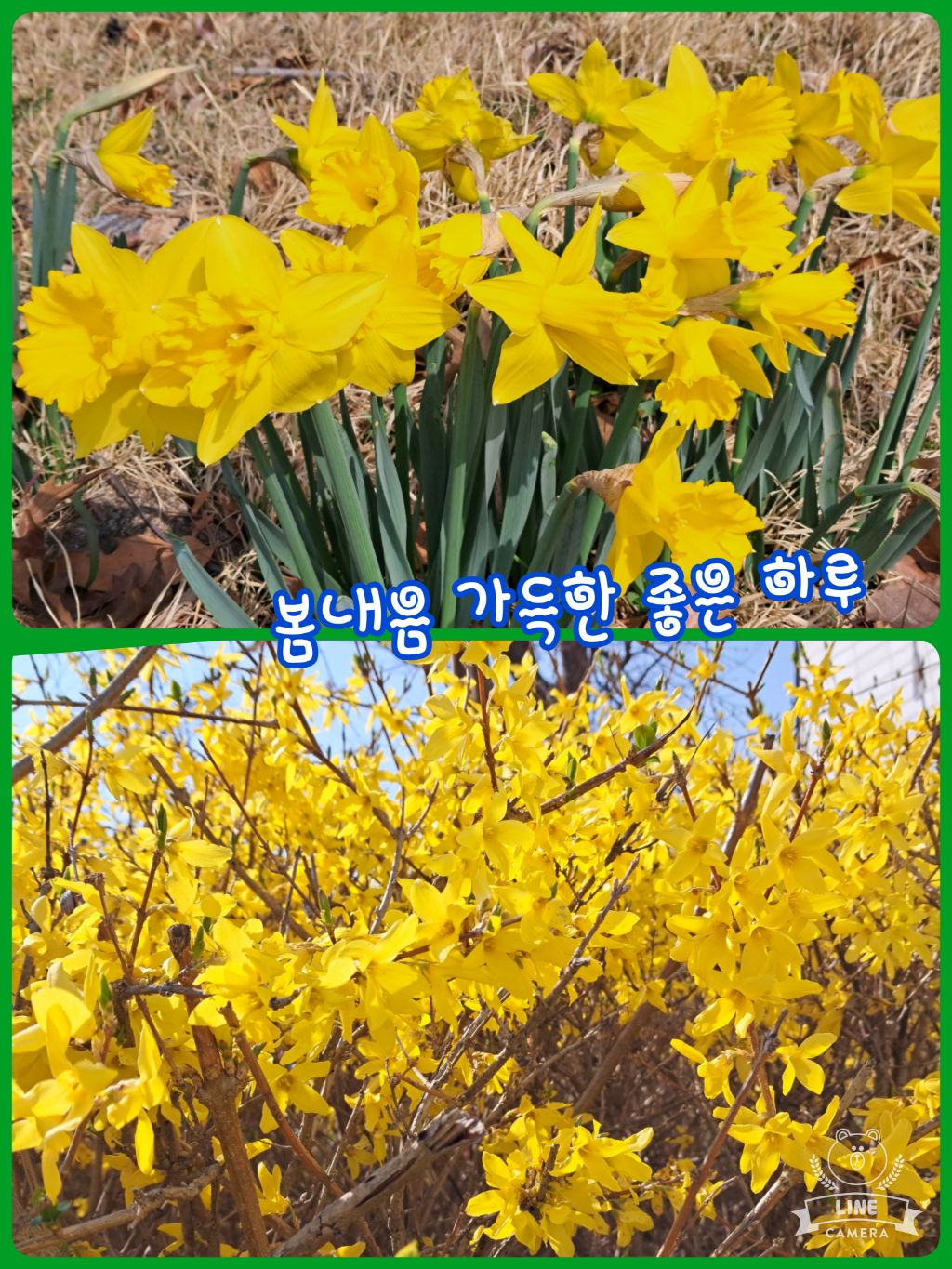 멋진하루 이미지