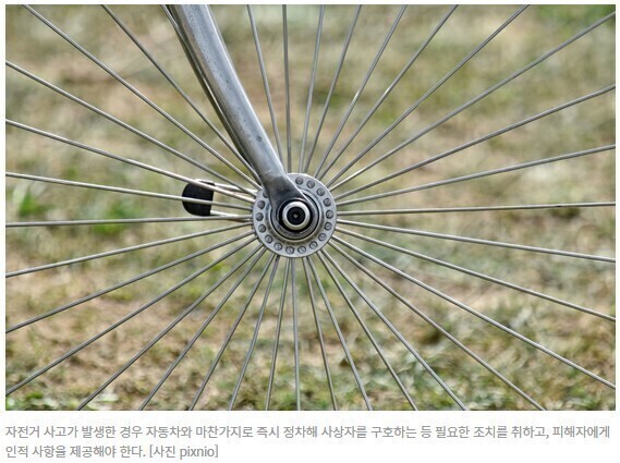 종합자전거 이미지