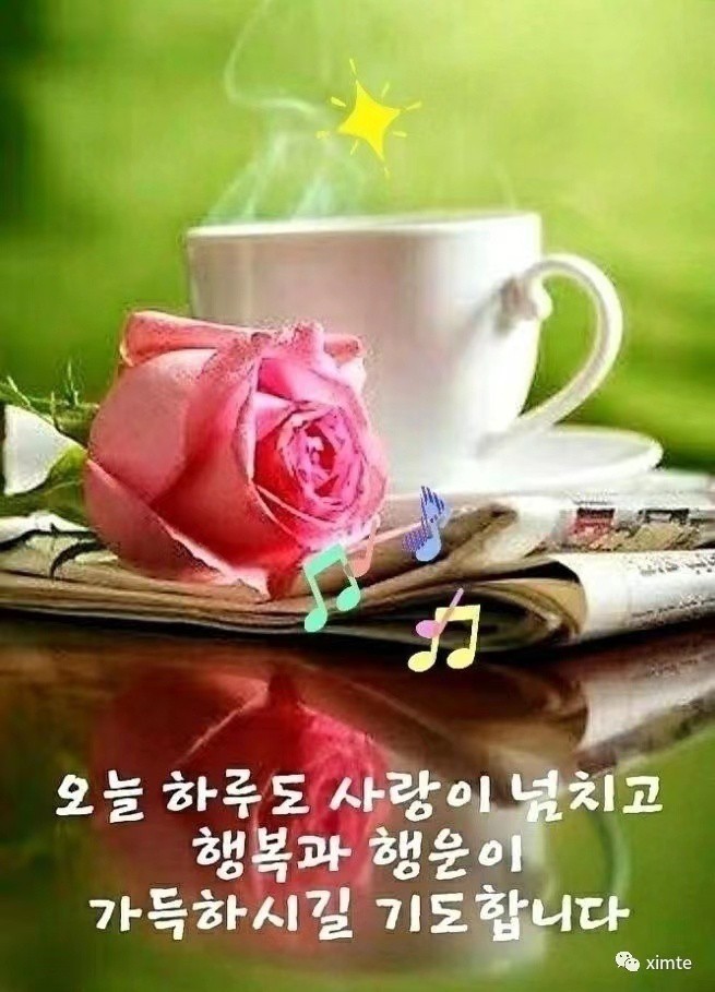 마지 이미지