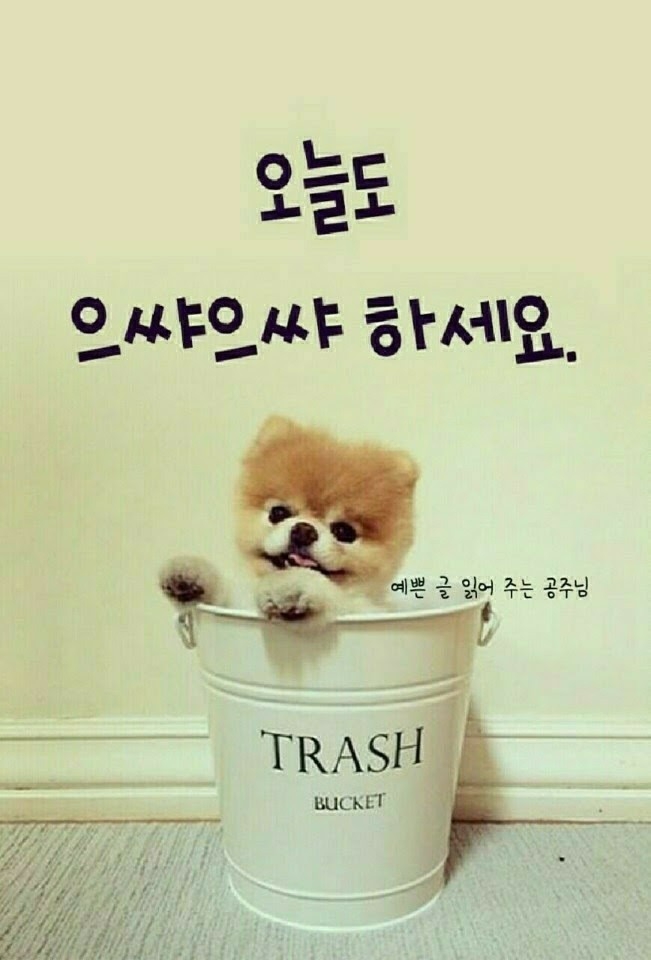 마지 이미지