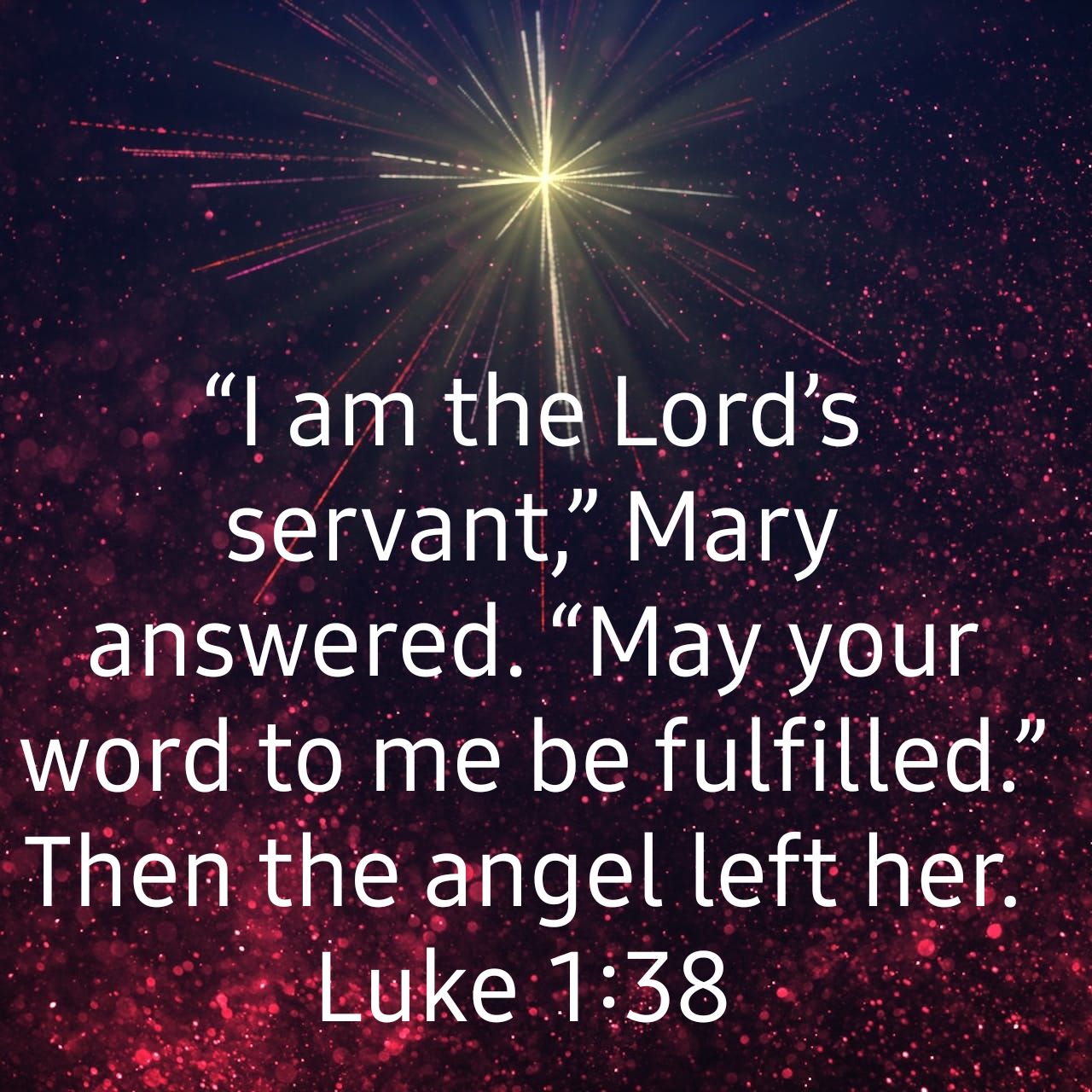 마리아A+ 이미지