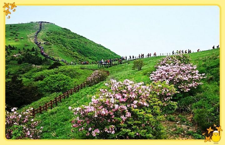 배산주유소 이미지