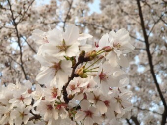 승리세탁 이미지