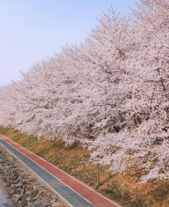 승리세탁 이미지