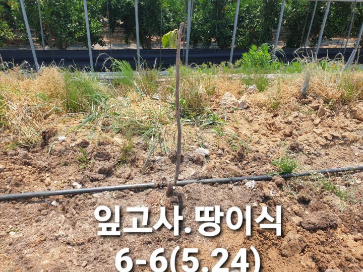 남면가스 이미지