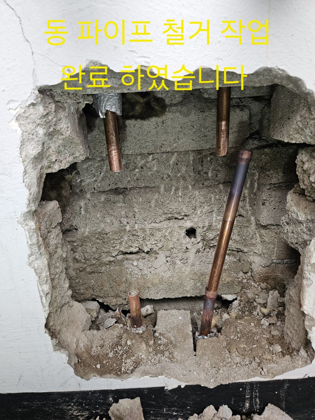 롯데주방 이미지