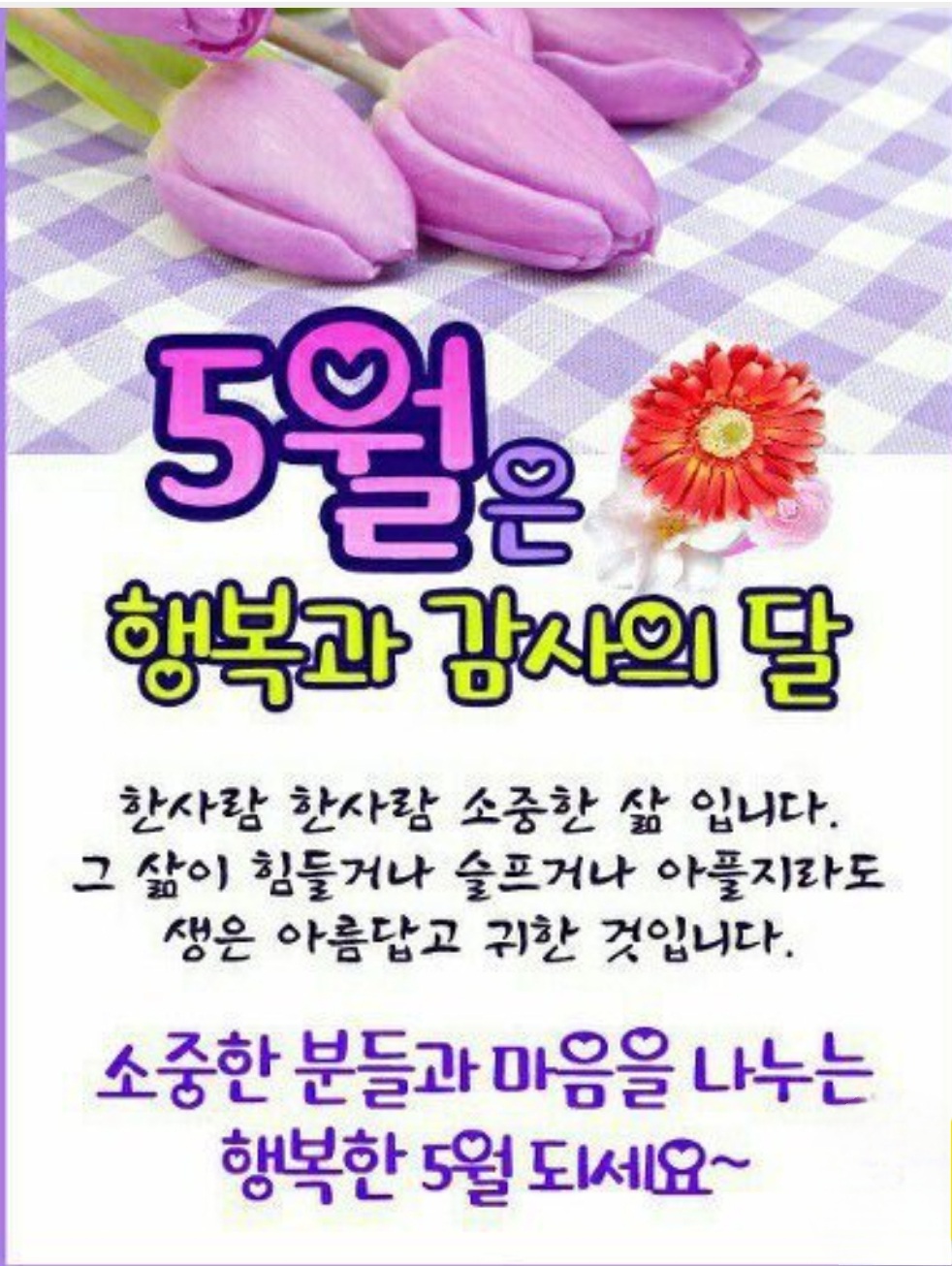 예향 이미지