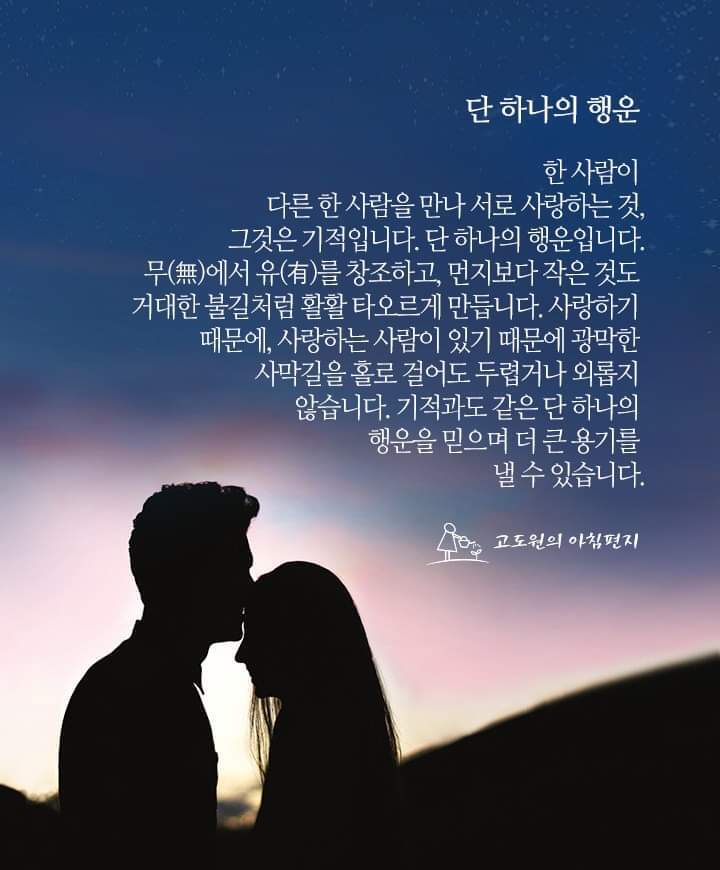 단하나무 이미지