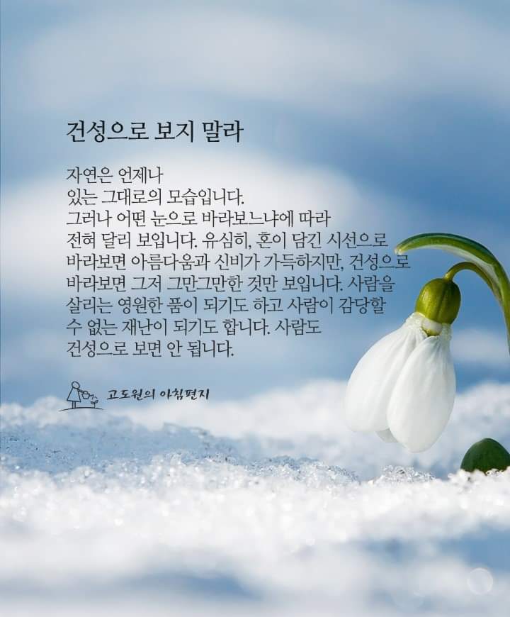 건성 이미지