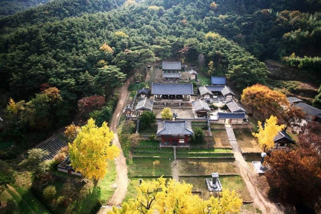 도동이네 이미지