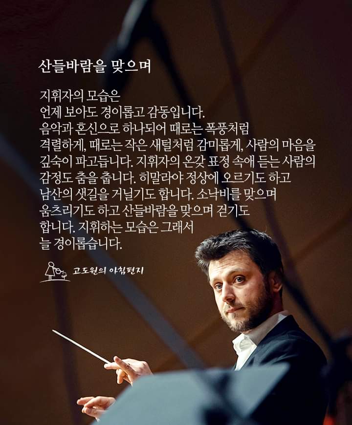 산들바람 이미지