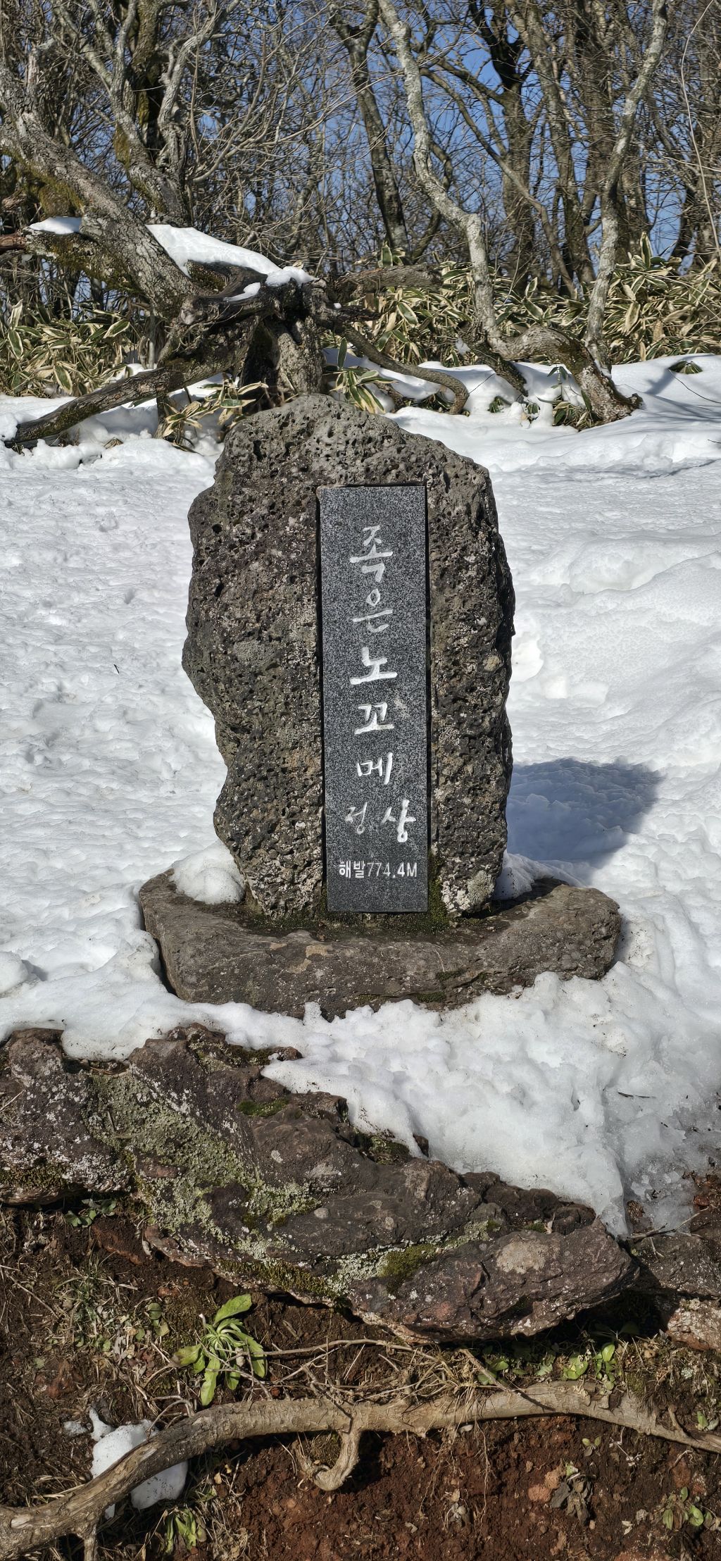 이노꼬 이미지