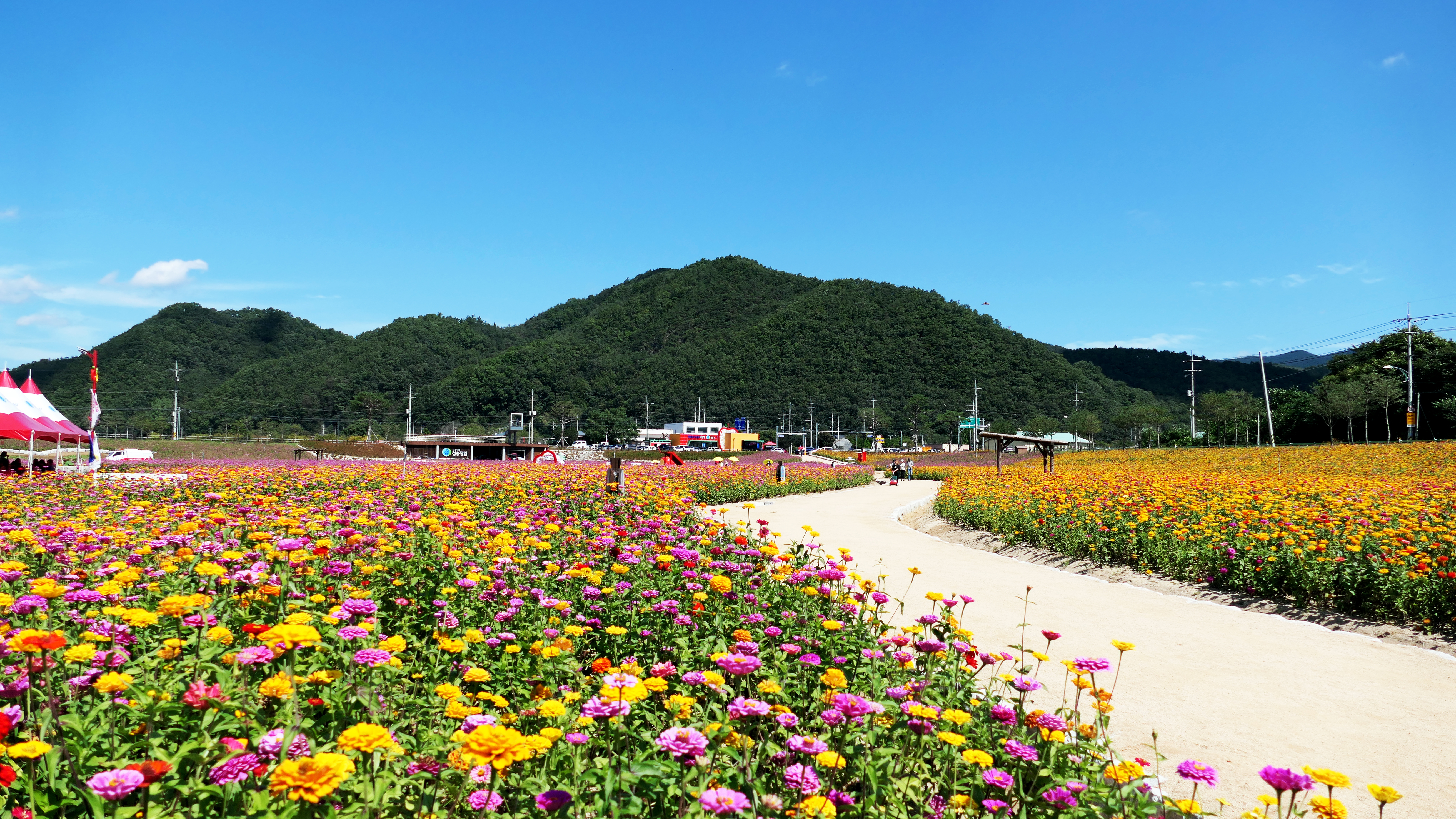 당진산소 이미지