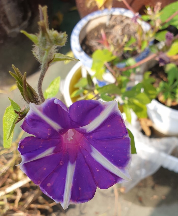 산길포차 이미지