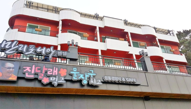 진달래먹고물장구치고 이미지
