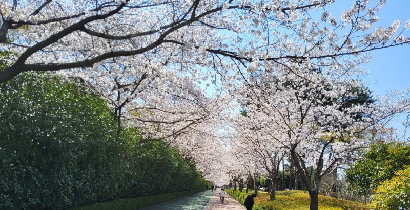 스포원 이미지