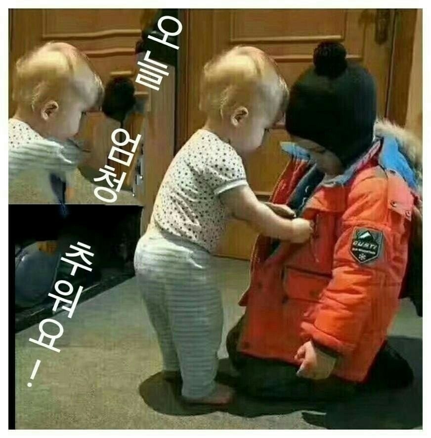 무화지 이미지