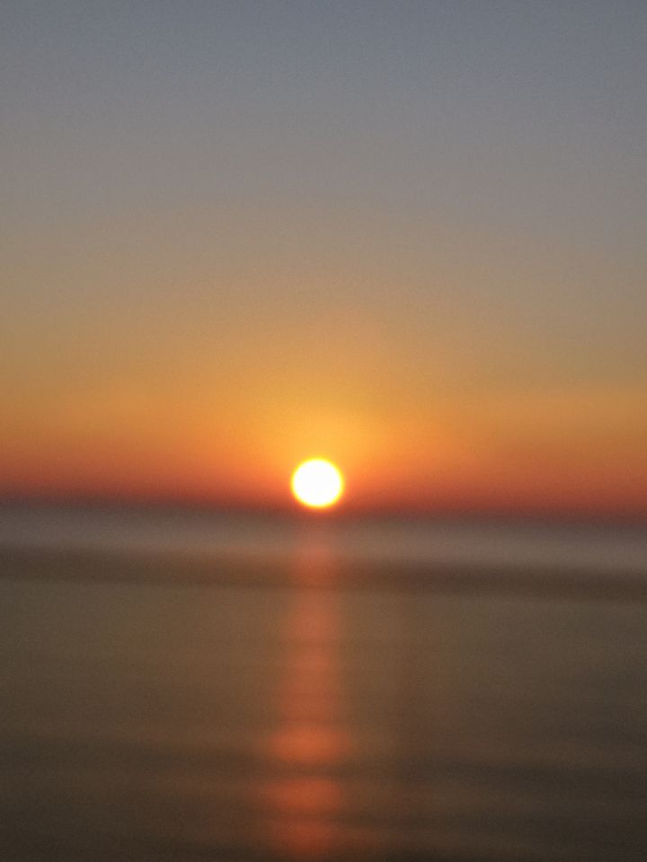 정다운주 이미지