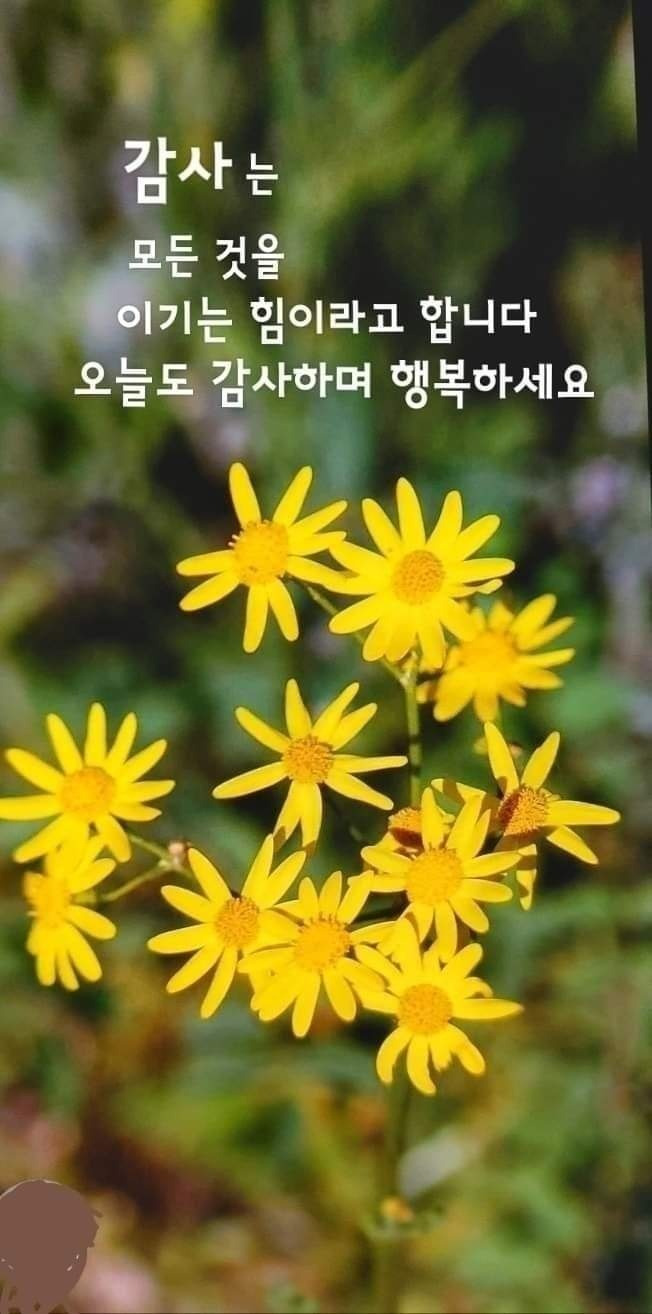 화요일 이미지