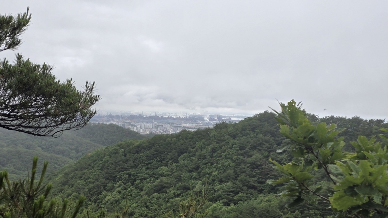 산길 이미지