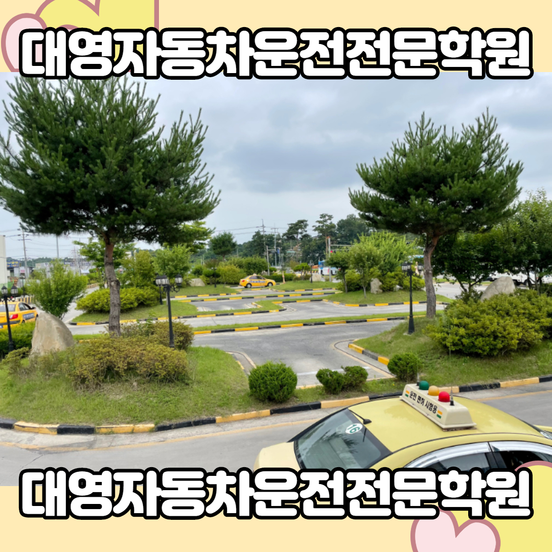 강릉자동차운전학원 이미지