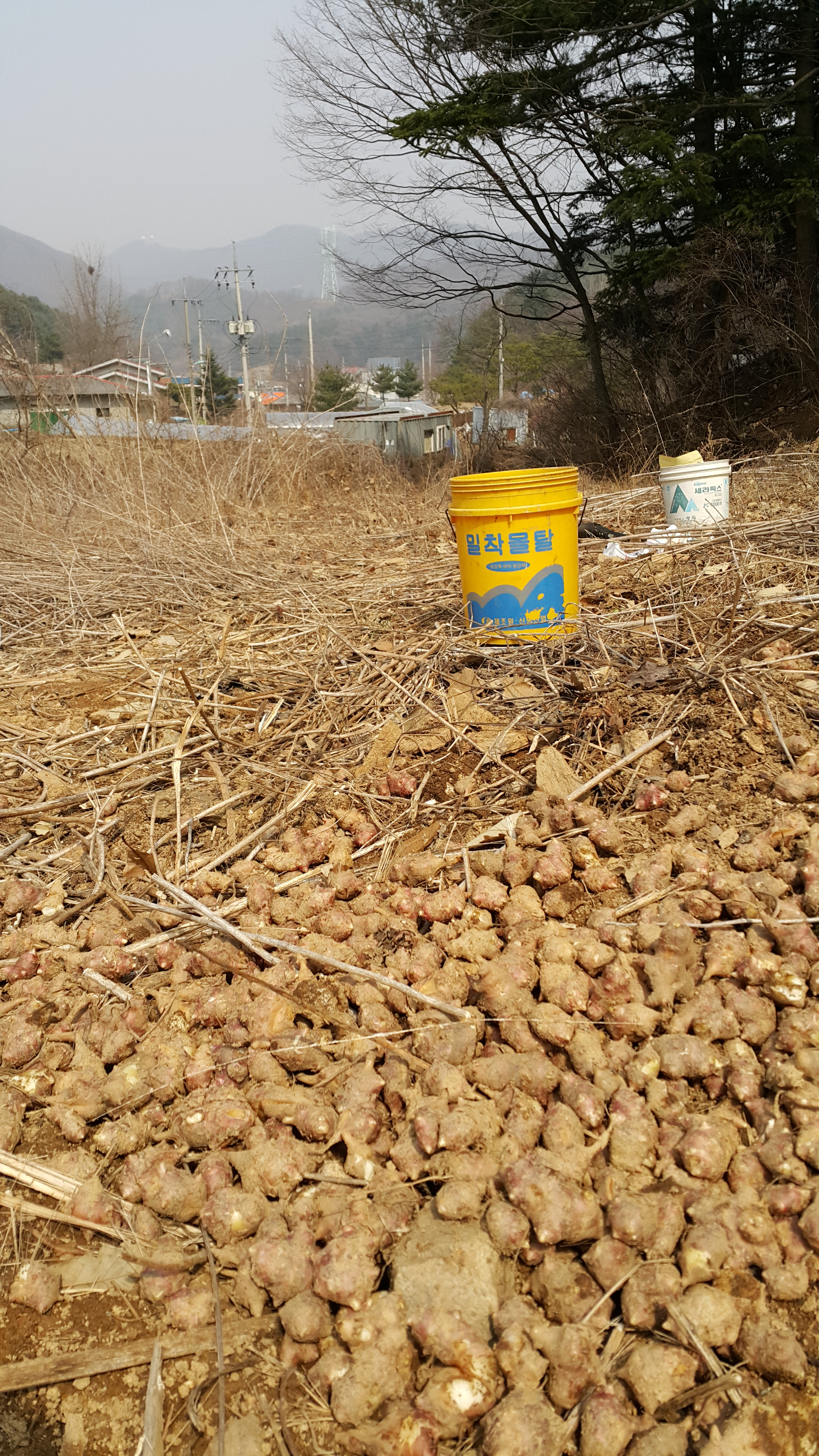 용일사거리 이미지