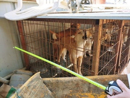 0f063f6c9e29b701501e6dea205280604aa37c9b