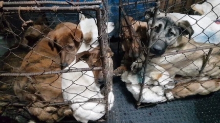 316c570c68c52a7afde1a11831c9397a788fb847