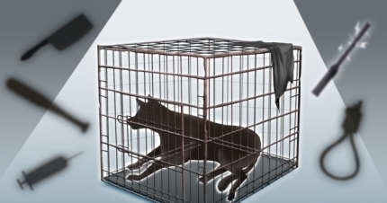 6b832bbe8e08b72511fd57f4fbe7d5a2ffb3390b