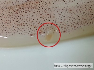 알고나면 못먹는 음식들 (비위약하면 보지마세요) | 인스티즈