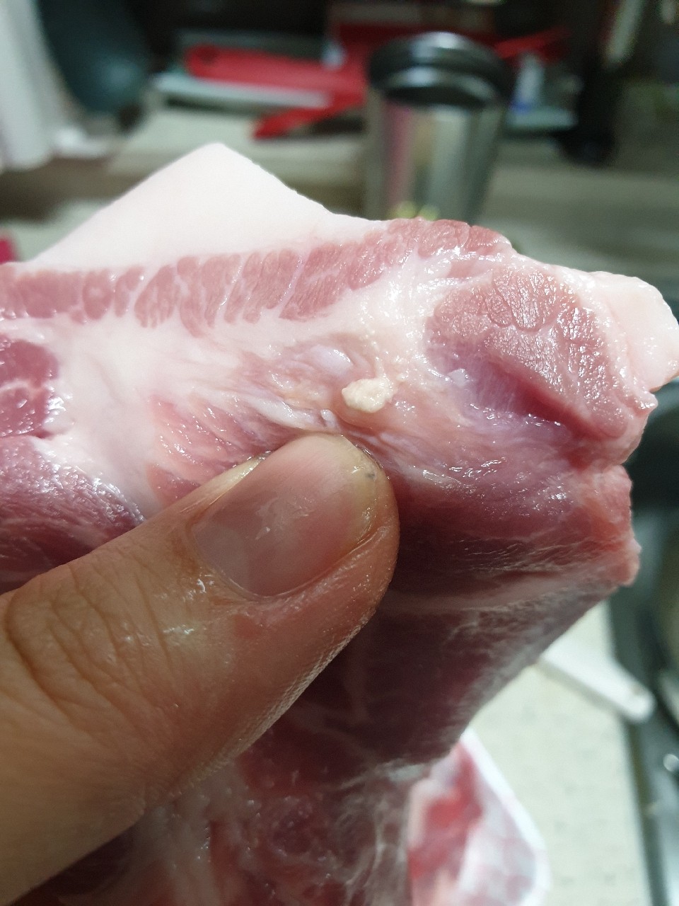 알고나면 못먹는 음식들 (비위약하면 보지마세요) | 인스티즈